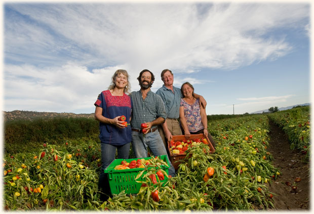 Full Belly Farm