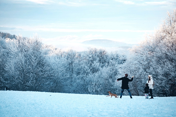 krisztina-papp-_Epwsnd0f_U-unsplash-low-res